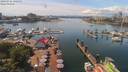 ./images/victoria/wharf/20190716/wharf20190716_140459.jpg