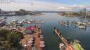 ./images/victoria/wharf/20190716/wharf20190716_140952.jpg