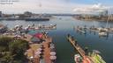./images/victoria/wharf/20190716/wharf20190716_141957.jpg