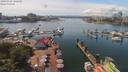 ./images/victoria/wharf/20190716/wharf20190716_142450.jpg