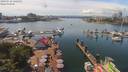 ./images/victoria/wharf/20190716/wharf20190716_142953.jpg