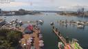 ./images/victoria/wharf/20190716/wharf20190716_144452.jpg