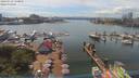 ./images/victoria/wharf/20190716/wharf20190716_150955.jpg