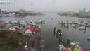 ./images/victoria/wharf/20190717/wharf20190717_124952.jpg