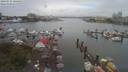 ./images/victoria/wharf/20190717/wharf20190717_144452.jpg