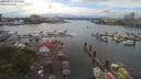 ./images/victoria/wharf/20190717/wharf20190717_152456.jpg