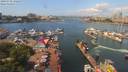 ./images/victoria/wharf/20190718/wharf20190718_122459.jpg