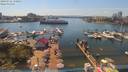 ./images/victoria/wharf/20190721/wharf20190721_150954.jpg