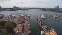 ./images/victoria/wharf/20190722/wharf20190722_141455.jpg
