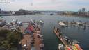 ./images/victoria/wharf/20190722/wharf20190722_142450.jpg