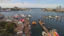 ./images/victoria/wharf/20190723/wharf20190723_124450.jpg