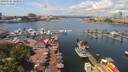 ./images/victoria/wharf/20190724/wharf20190724_123951.jpg