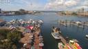 ./images/victoria/wharf/20190724/wharf20190724_124453.jpg