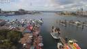 ./images/victoria/wharf/20190724/wharf20190724_131957.jpg