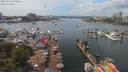 ./images/victoria/wharf/20190724/wharf20190724_140454.jpg