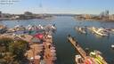 ./images/victoria/wharf/20190726/wharf20190726_141950.jpg