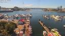 ./images/victoria/wharf/20190726/wharf20190726_142956.jpg