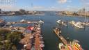 ./images/victoria/wharf/20190727/wharf20190727_124457.jpg