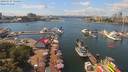 ./images/victoria/wharf/20190727/wharf20190727_134454.jpg