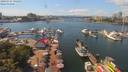 ./images/victoria/wharf/20190727/wharf20190727_141453.jpg