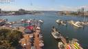 ./images/victoria/wharf/20190727/wharf20190727_142952.jpg