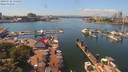 ./images/victoria/wharf/20190728/wharf20190728_134953.jpg