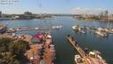 ./images/victoria/wharf/20190728/wharf20190728_135950.jpg