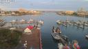 ./images/victoria/wharf/20190730/wharf20190730_060956.jpg