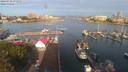 ./images/victoria/wharf/20190730/wharf20190730_075955.jpg