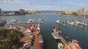 ./images/victoria/wharf/20190730/wharf20190730_120459.jpg