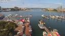 ./images/victoria/wharf/20190730/wharf20190730_120952.jpg