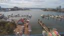 ./images/victoria/wharf/20190730/wharf20190730_150957.jpg