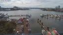 ./images/victoria/wharf/20190730/wharf20190730_152950.jpg