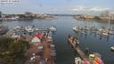./images/victoria/wharf/20190731/wharf20190731_110949.jpg