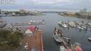 ./images/victoria/wharf/20190801/wharf20190801_084951.jpg