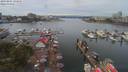 ./images/victoria/wharf/20190801/wharf20190801_124956.jpg