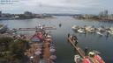 ./images/victoria/wharf/20190801/wharf20190801_134953.jpg