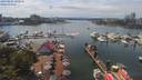 ./images/victoria/wharf/20190801/wharf20190801_142958.jpg