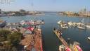 ./images/victoria/wharf/20190802/wharf20190802_125952.jpg