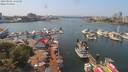 ./images/victoria/wharf/20190802/wharf20190802_135950.jpg