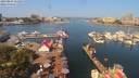 ./images/victoria/wharf/20190804/wharf20190804_110959.jpg