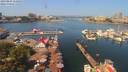 ./images/victoria/wharf/20190804/wharf20190804_114955.jpg