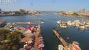 ./images/victoria/wharf/20190804/wharf20190804_115459.jpg