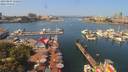 ./images/victoria/wharf/20190804/wharf20190804_122458.jpg