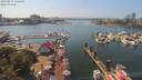 ./images/victoria/wharf/20190804/wharf20190804_145956.jpg
