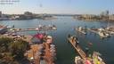 ./images/victoria/wharf/20190805/wharf20190805_142449.jpg
