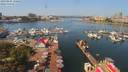 ./images/victoria/wharf/20190806/wharf20190806_120451.jpg