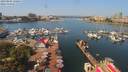 ./images/victoria/wharf/20190806/wharf20190806_120954.jpg