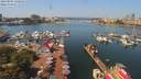 ./images/victoria/wharf/20190806/wharf20190806_122956.jpg