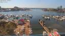 ./images/victoria/wharf/20190806/wharf20190806_150954.jpg